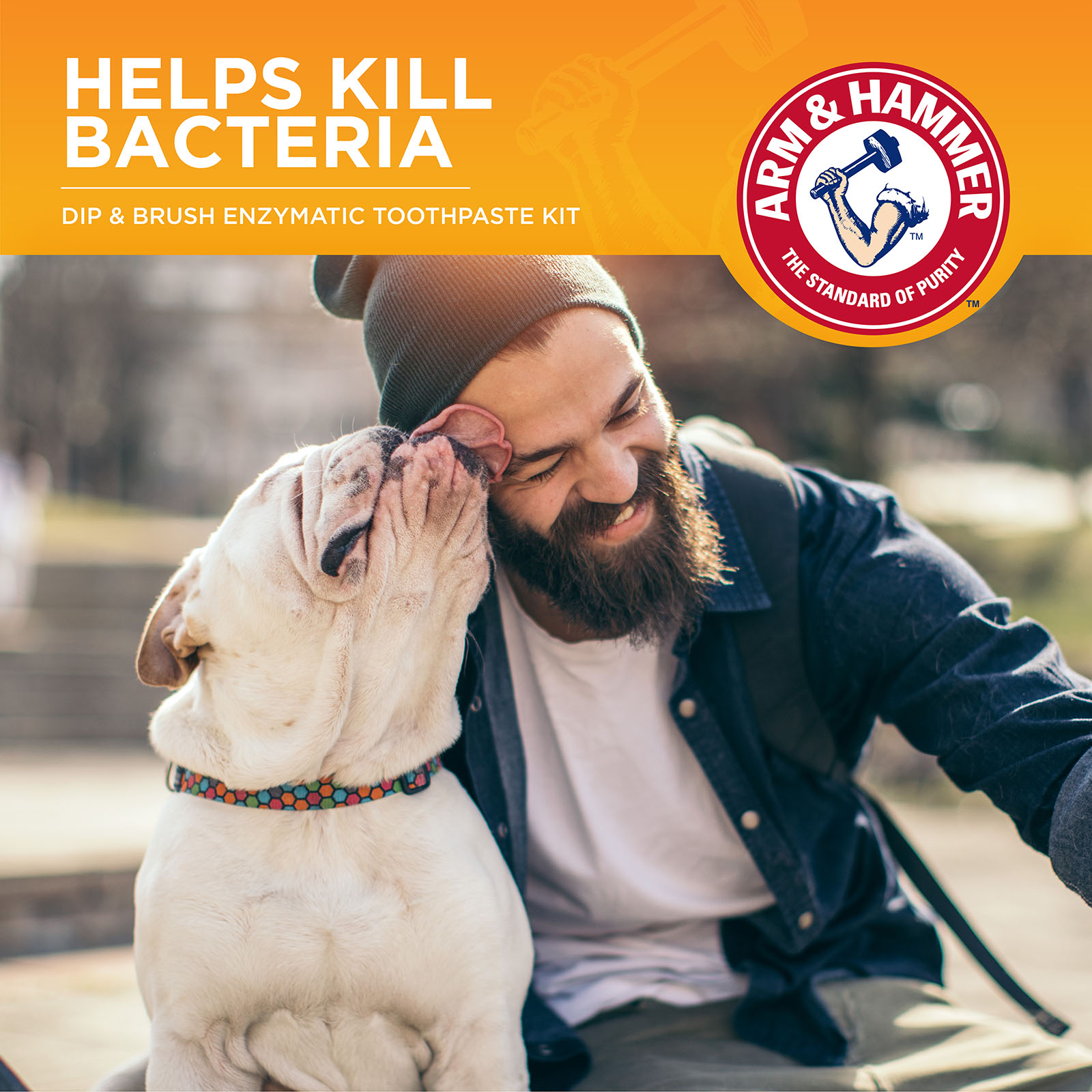 Can Toothpaste Kill Dogs