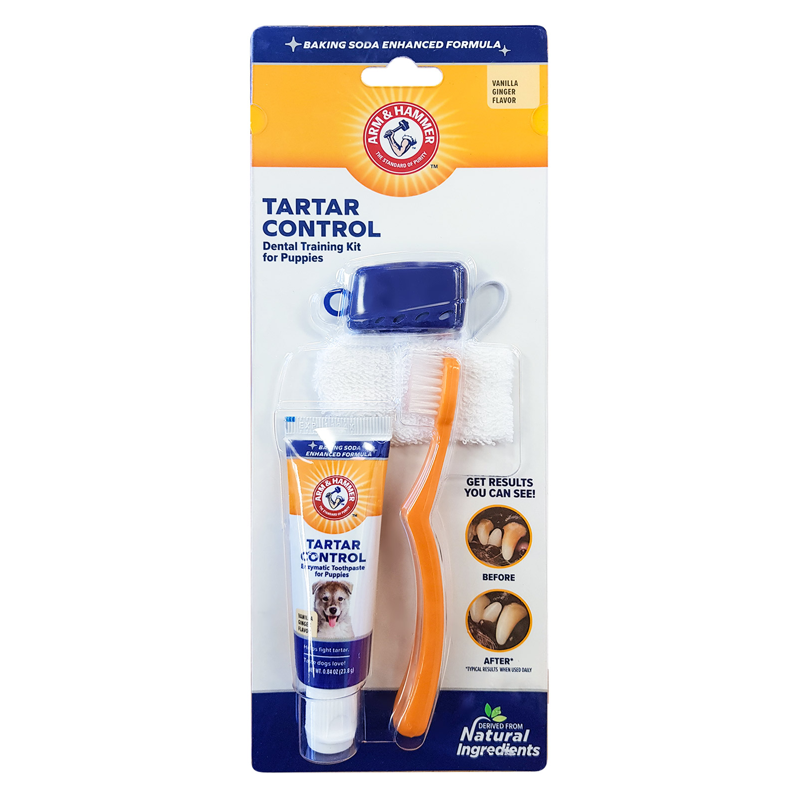 Arm And Hammer Tartar Control Puppy Dental Training Kit Vanilla Ginger