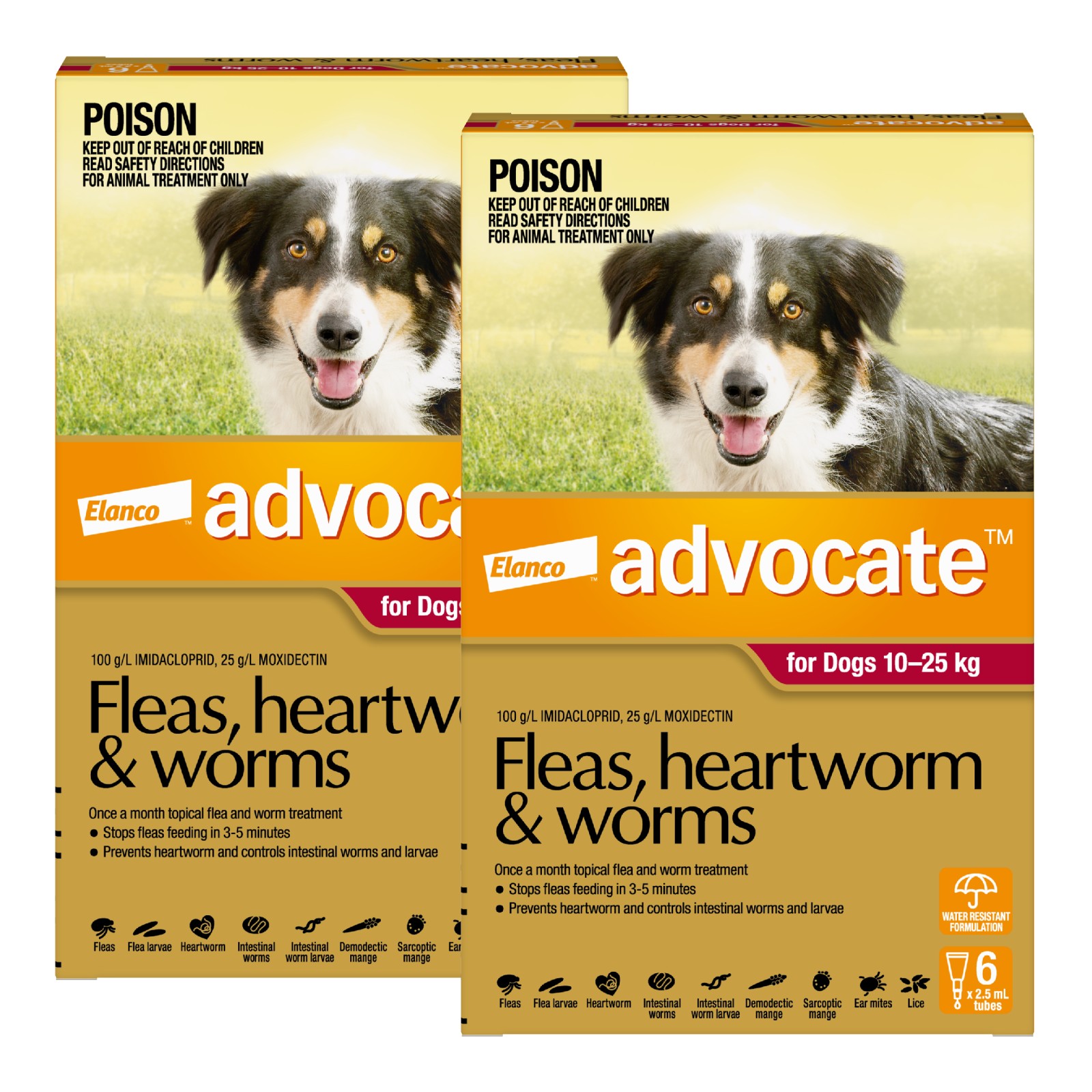 Advocate For Dogs Large Red 1025kg 12 Pack 184.99