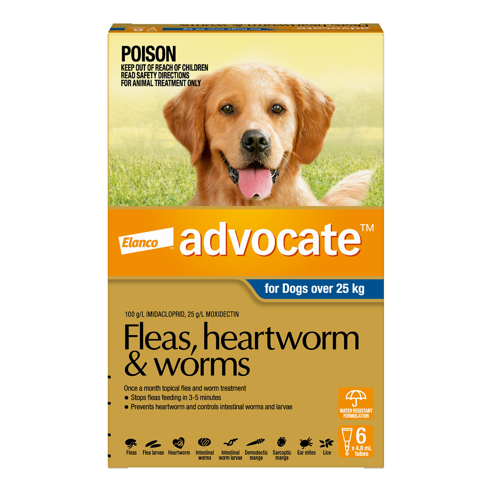 Advocate For Dogs XLarge Over 25kg 6 Pack 104.49