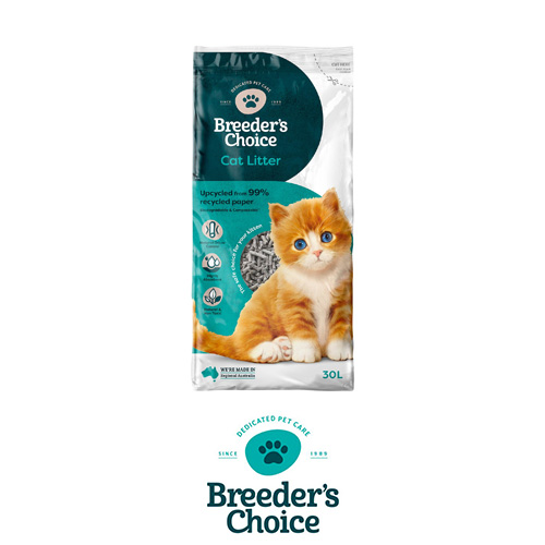 Buy Cat and Kitten Supplies Online Budget Pet Products Budget