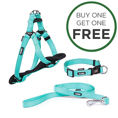 Buy Dog and Puppy Supplies Online Budget Pet Products Budget Pet