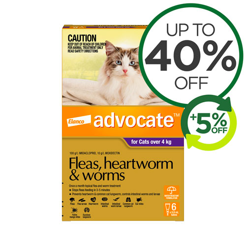 Dog and Cat Flea Tick & Worm Specials