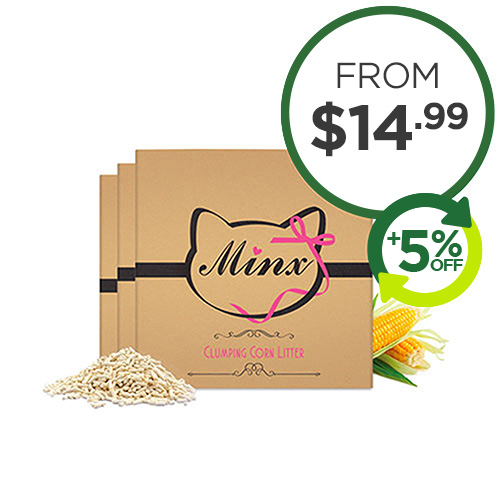 Buy Cat and Kitten Supplies Online Budget Pet Products Budget Pet