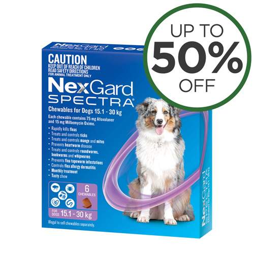 Budget dog clearance supplies