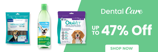 Dog flea tick hotsell and worm treatment combined